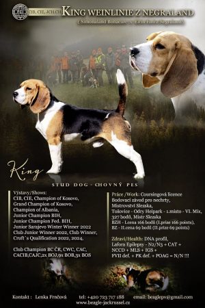 Blog_hoch_900x1350_Wurf_I2_3