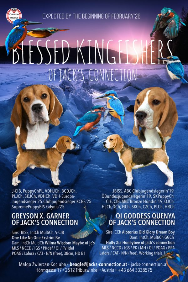 __KKB_Litterofjcs_ok_1500