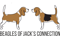 jacksconnection_logo_rund